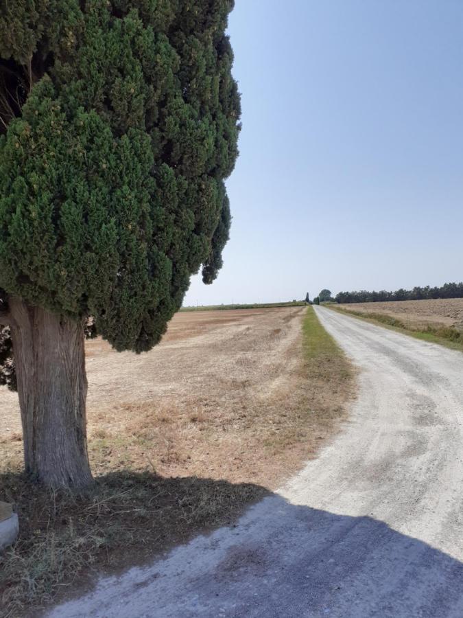Casa Porciatti Hotel Grosseto Bagian luar foto